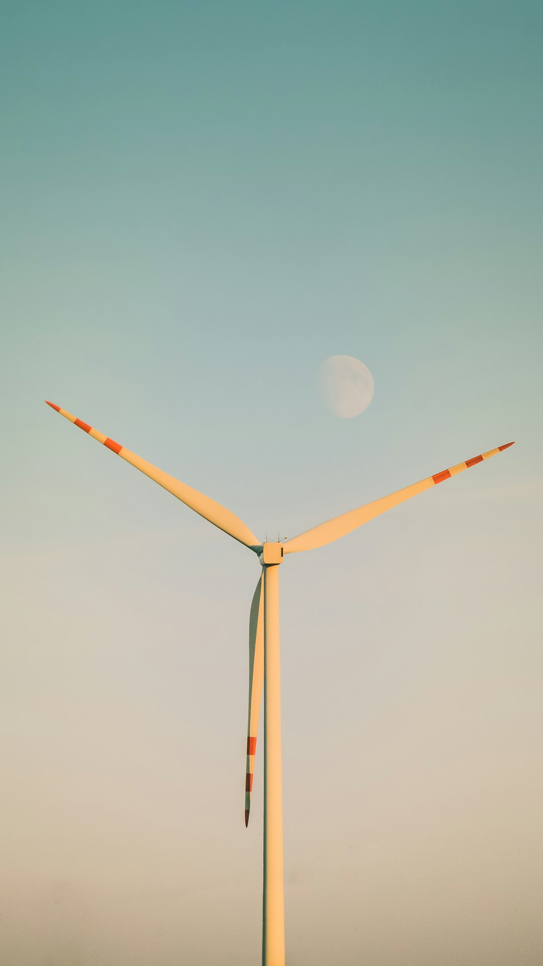 Wind Farm Project